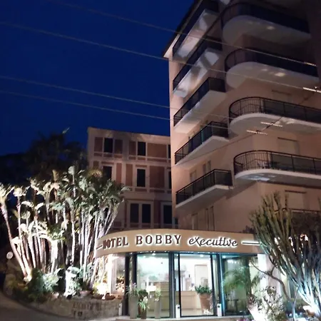 鲍比行政酒店 酒店