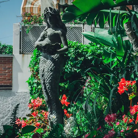 Hotel Bobby Executive