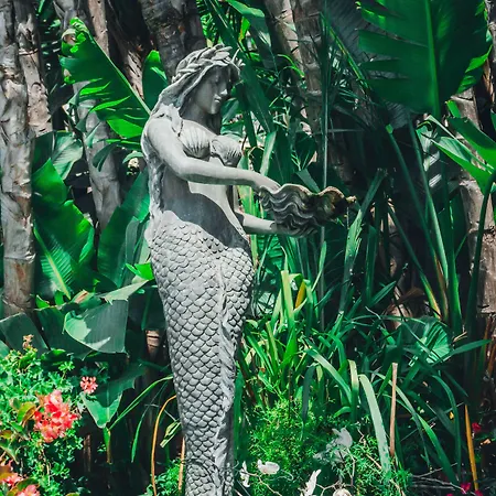 鲍比行政酒店 酒店