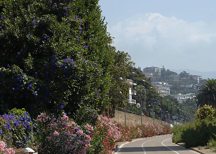 Hotel Bobby Executive